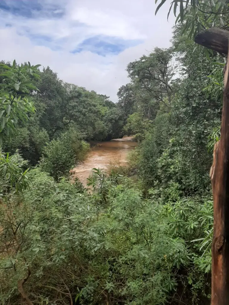 Uitzicht over de Lingadzi rivier in het Lilongwe Wildlife Centre.